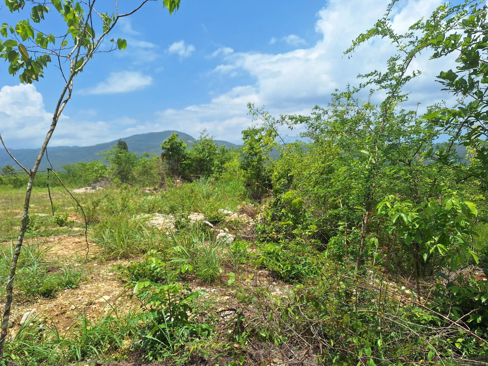Ninth image of Hyde Park in Bog Walk, St. Catherine, Jamaica - property is For Sale