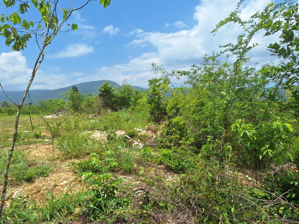 Ninth image of Hyde Park in Bog Walk, St. Catherine, Jamaica - property is For Sale