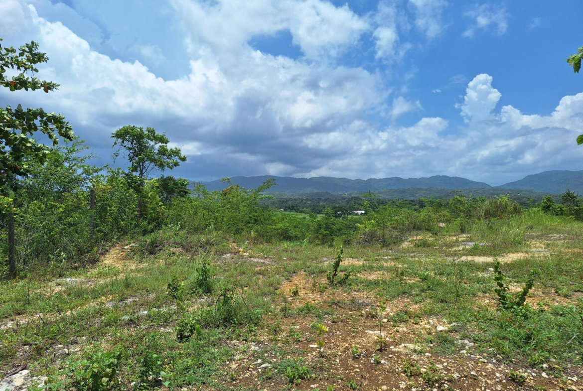 Tenth image of Hyde Park in Bog Walk, St. Catherine, Jamaica - property is For Sale
