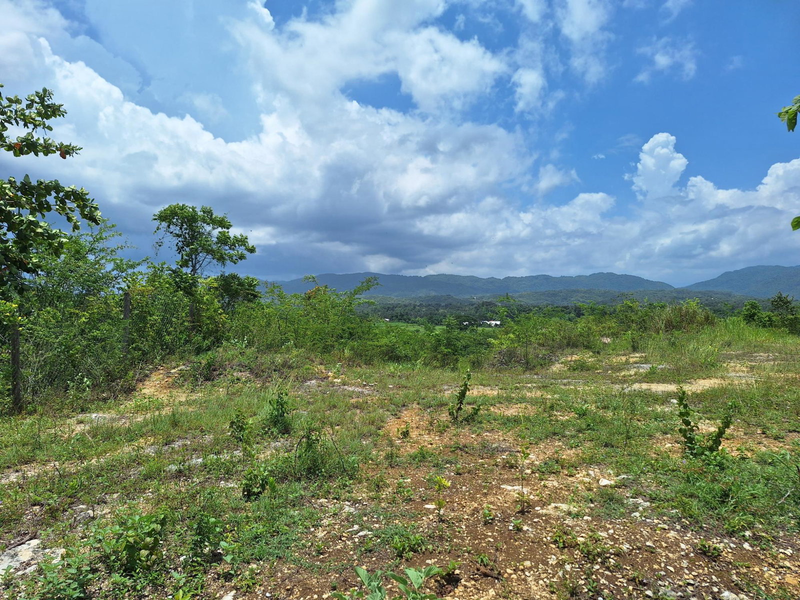 Tenth image of Hyde Park in Bog Walk, St. Catherine, Jamaica - property is For Sale