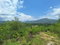 First image of Hyde Park in Bog Walk, St. Catherine, Jamaica - property is For Sale