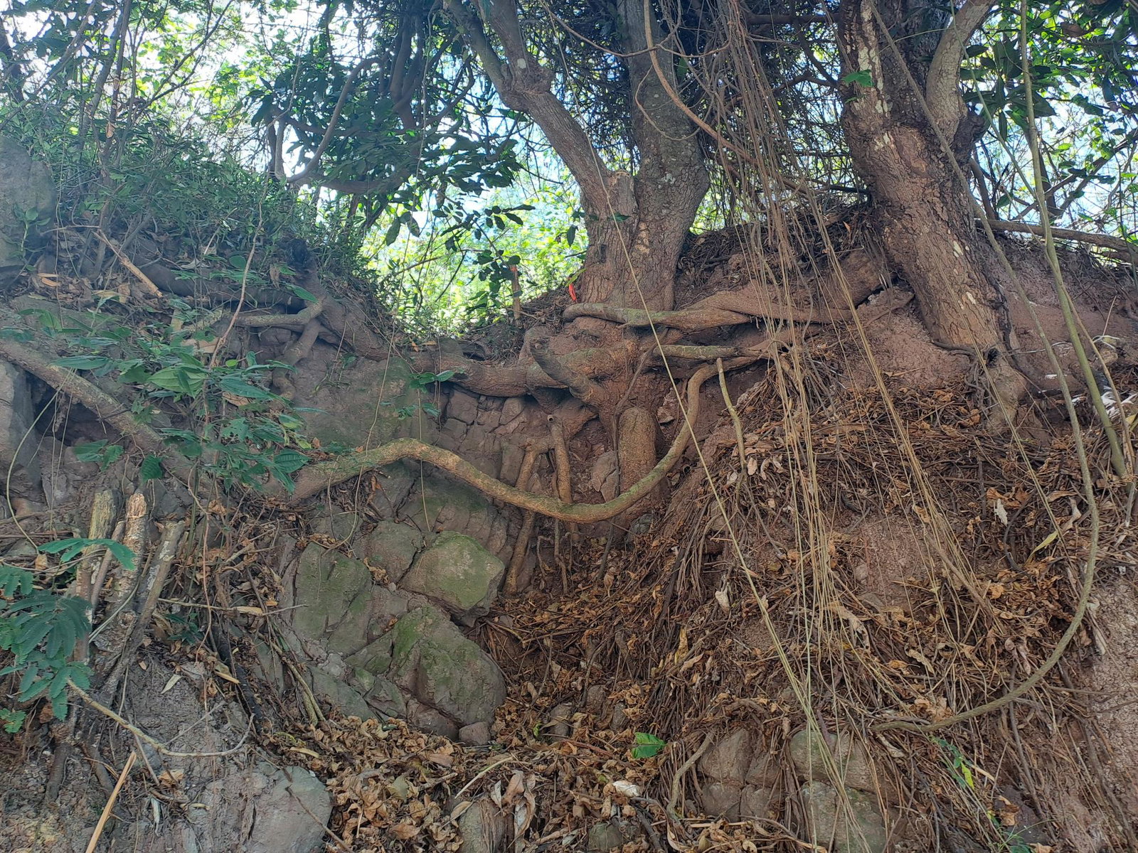 Second image of Part of Irish Town in Irish Town P.A., St. Andrew, Jamaica - property is For Sale