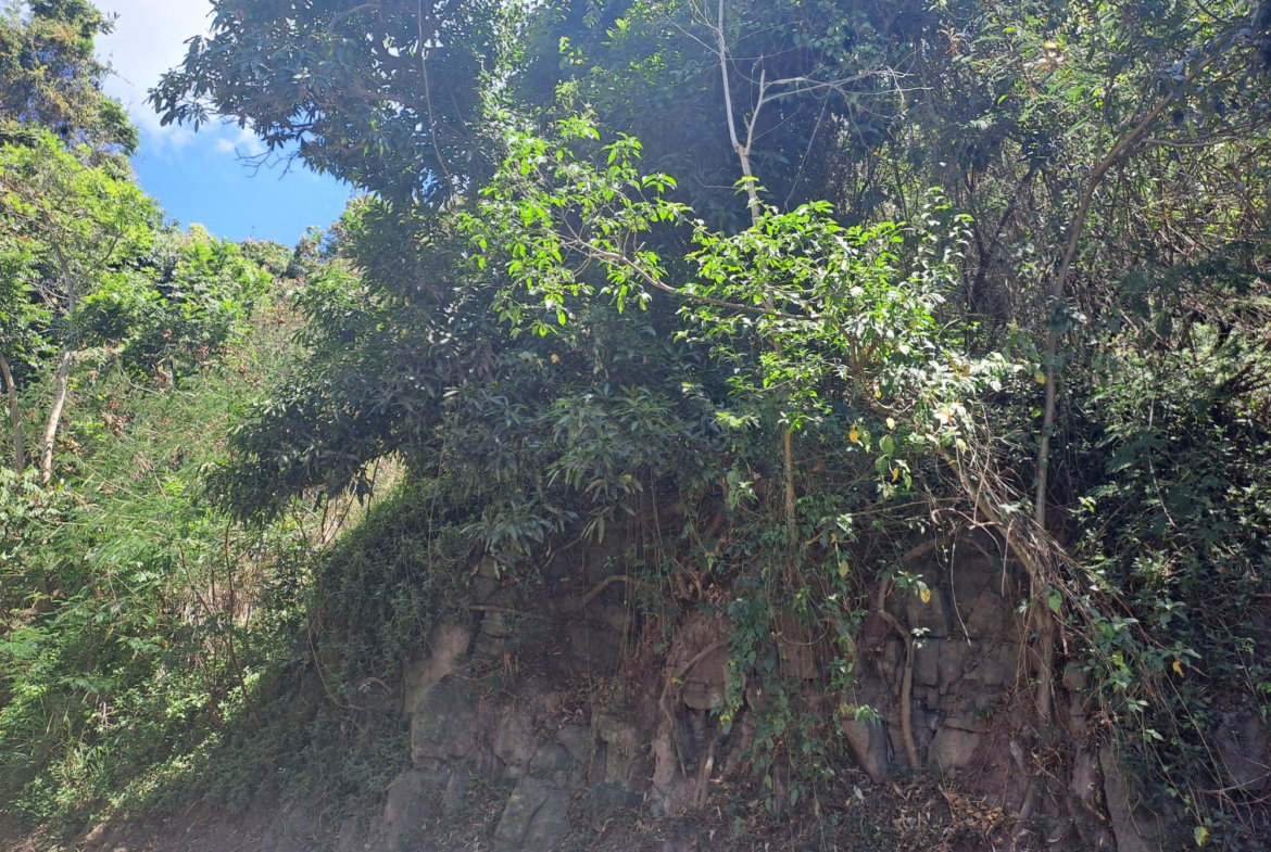 Third image of Part of Irish Town in Irish Town P.A., St. Andrew, Jamaica - property is For Sale