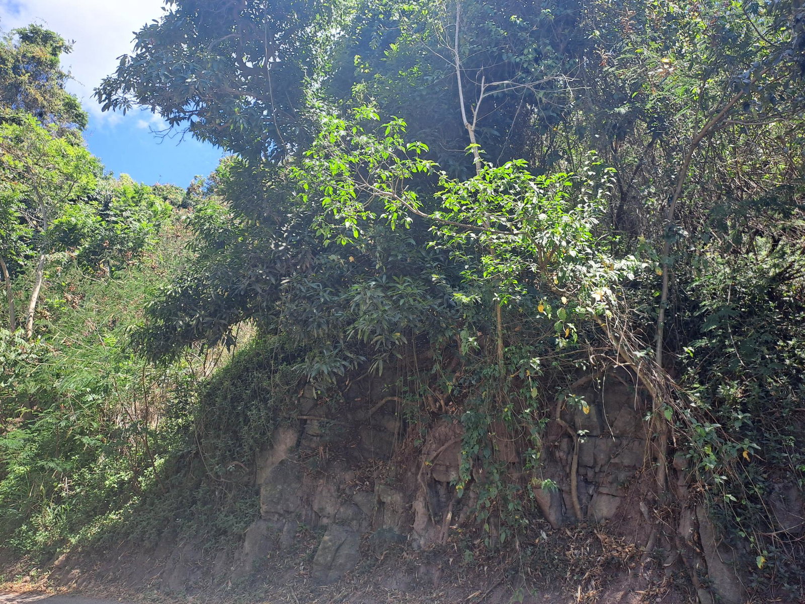 Third image of Part of Irish Town in Irish Town P.A., St. Andrew, Jamaica - property is For Sale