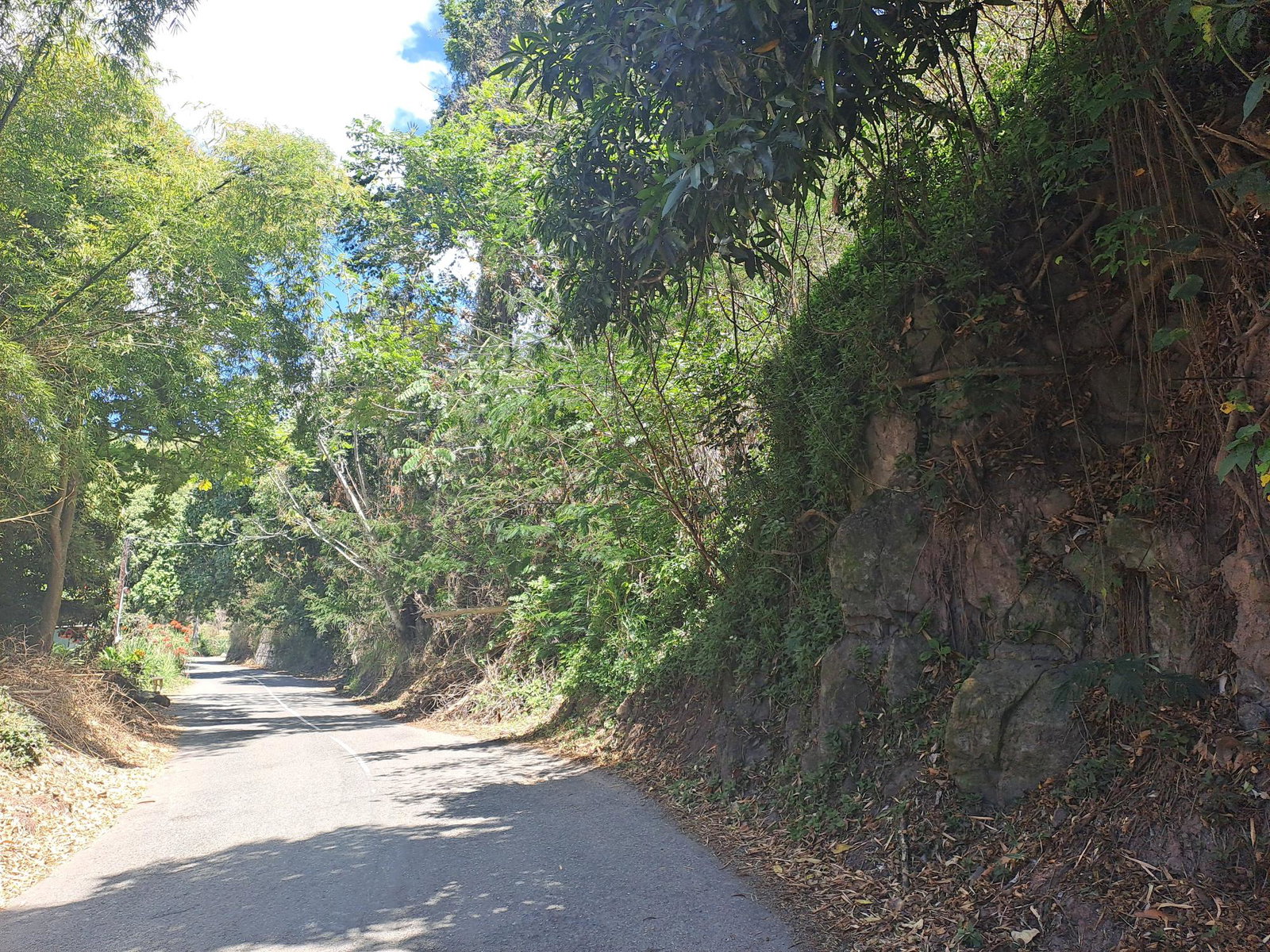 Fourth image of Part of Irish Town in Irish Town P.A., St. Andrew, Jamaica - property is For Sale
