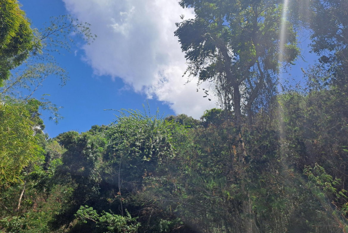 Fifth image of Part of Irish Town in Irish Town P.A., St. Andrew, Jamaica - property is For Sale
