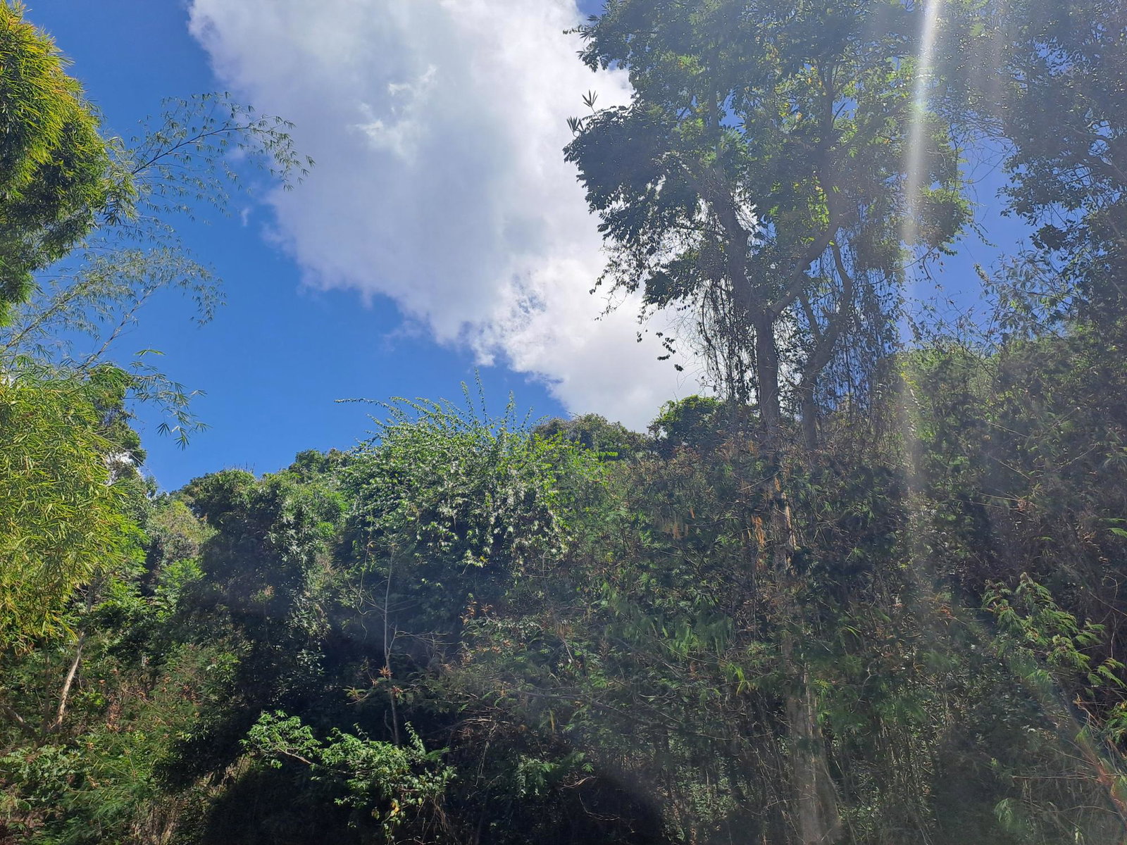 Fifth image of Part of Irish Town in Irish Town P.A., St. Andrew, Jamaica - property is For Sale