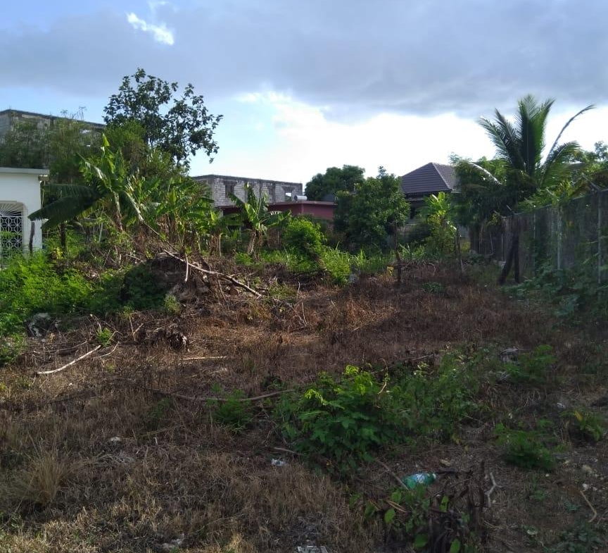 Eleventh image of Lot 678 Luana Pen Black r in Black River, St. Elizabeth, Jamaica - property is For Sale