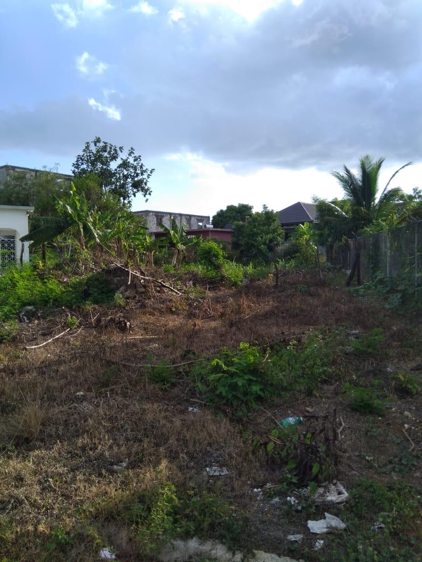 Eleventh image of Lot 678 Luana Pen Black r in Black River, St. Elizabeth, Jamaica - property is For Sale