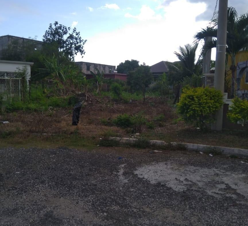Third image of Lot 678 Luana Pen Black r in Black River, St. Elizabeth, Jamaica - property is For Sale