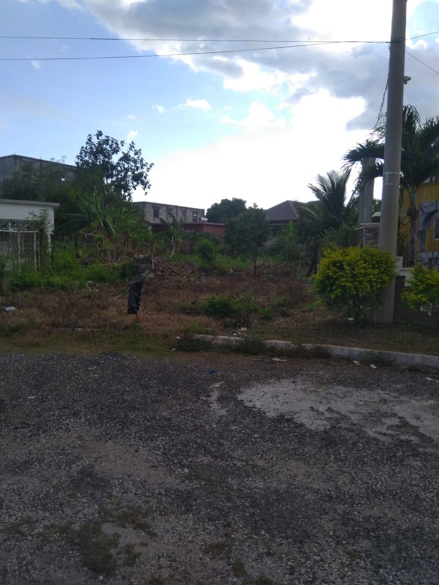 Third image of Lot 678 Luana Pen Black r in Black River, St. Elizabeth, Jamaica - property is For Sale