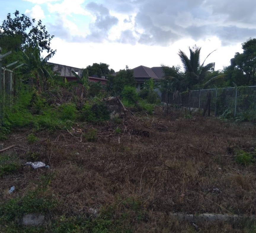 Fourth image of Lot 678 Luana Pen Black r in Black River, St. Elizabeth, Jamaica - property is For Sale