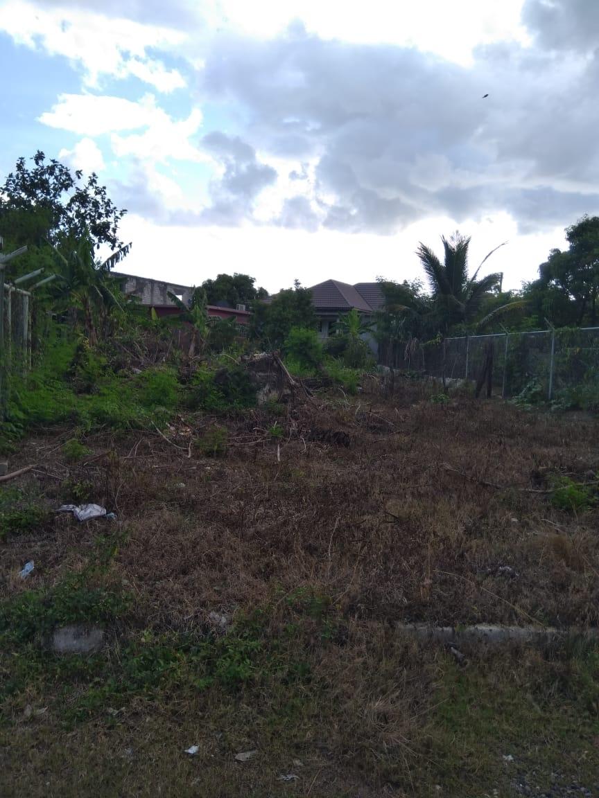 Fourth image of Lot 678 Luana Pen Black r in Black River, St. Elizabeth, Jamaica - property is For Sale