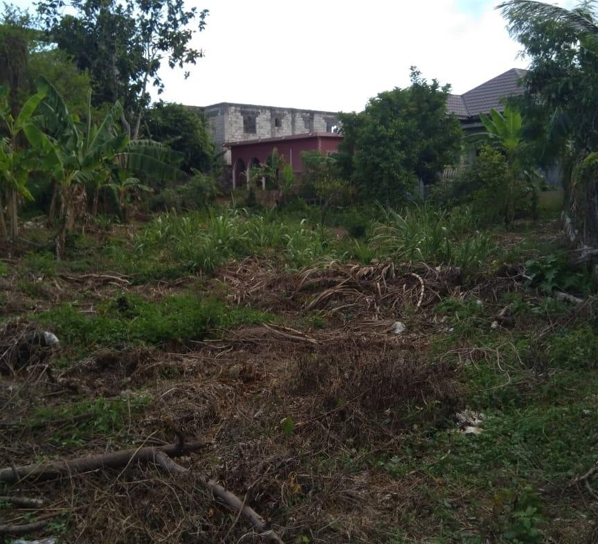 Fifth image of Lot 678 Luana Pen Black r in Black River, St. Elizabeth, Jamaica - property is For Sale
