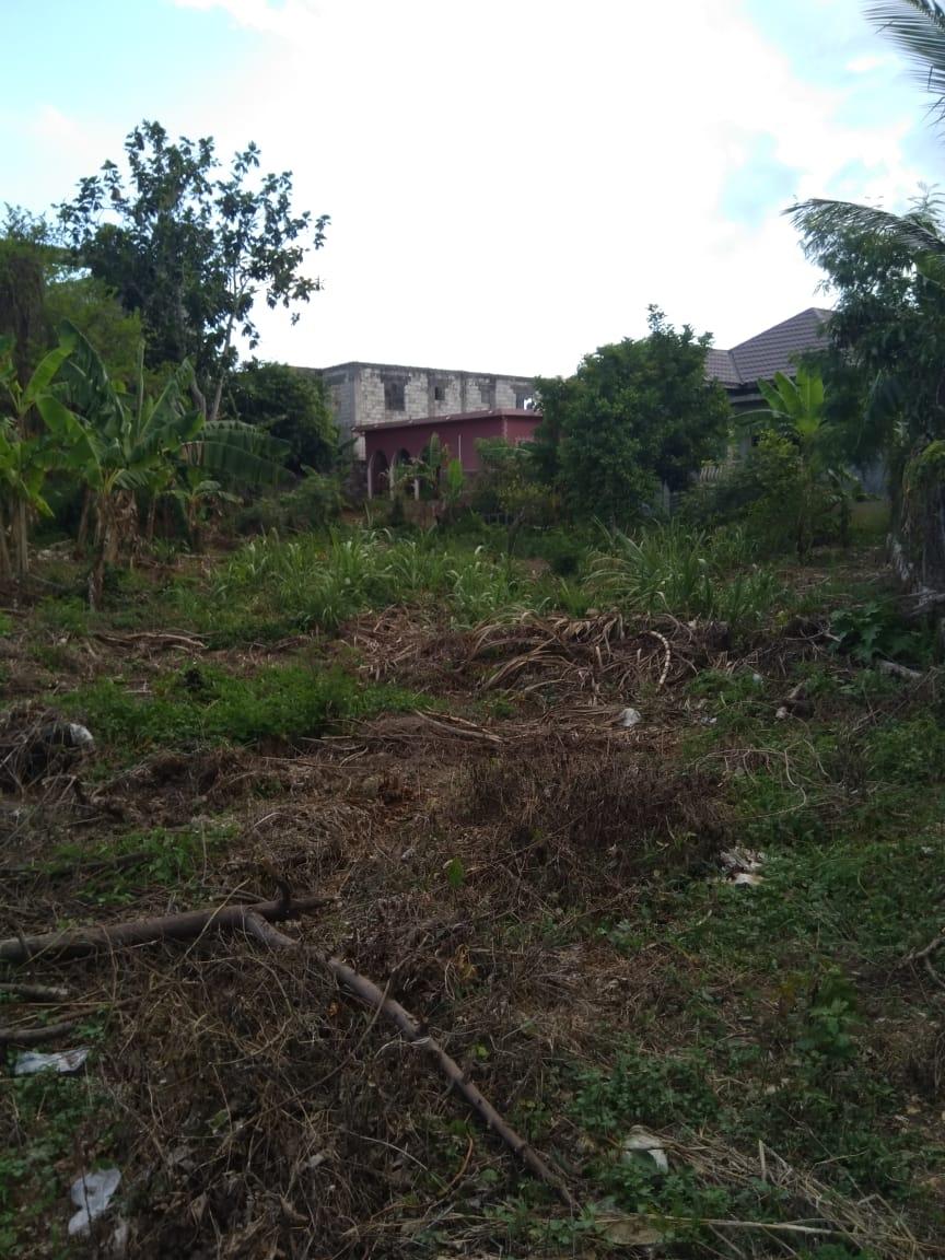 Fifth image of Lot 678 Luana Pen Black r in Black River, St. Elizabeth, Jamaica - property is For Sale