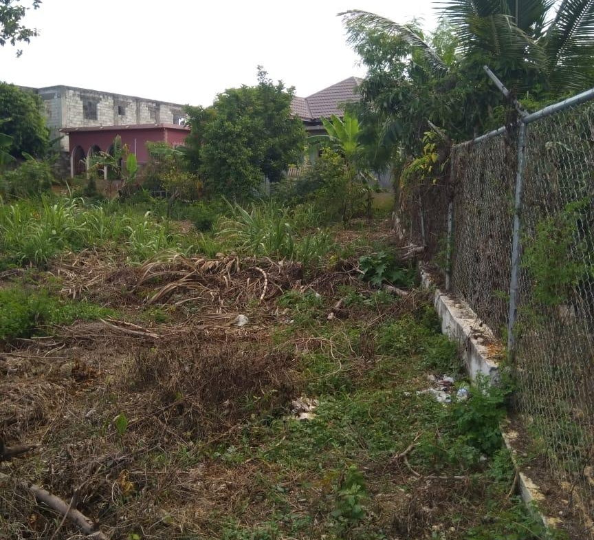 Sixth image of Lot 678 Luana Pen Black r in Black River, St. Elizabeth, Jamaica - property is For Sale