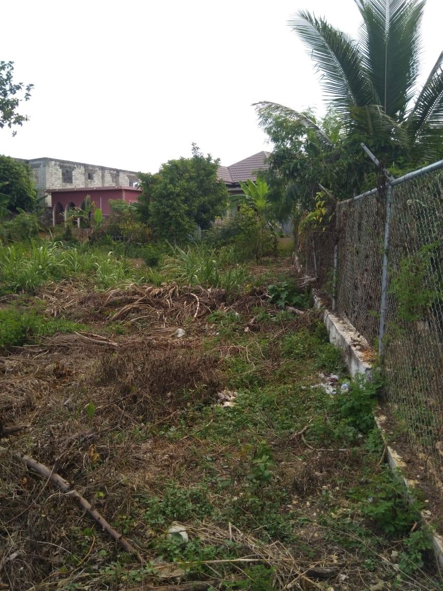 Sixth image of Lot 678 Luana Pen Black r in Black River, St. Elizabeth, Jamaica - property is For Sale