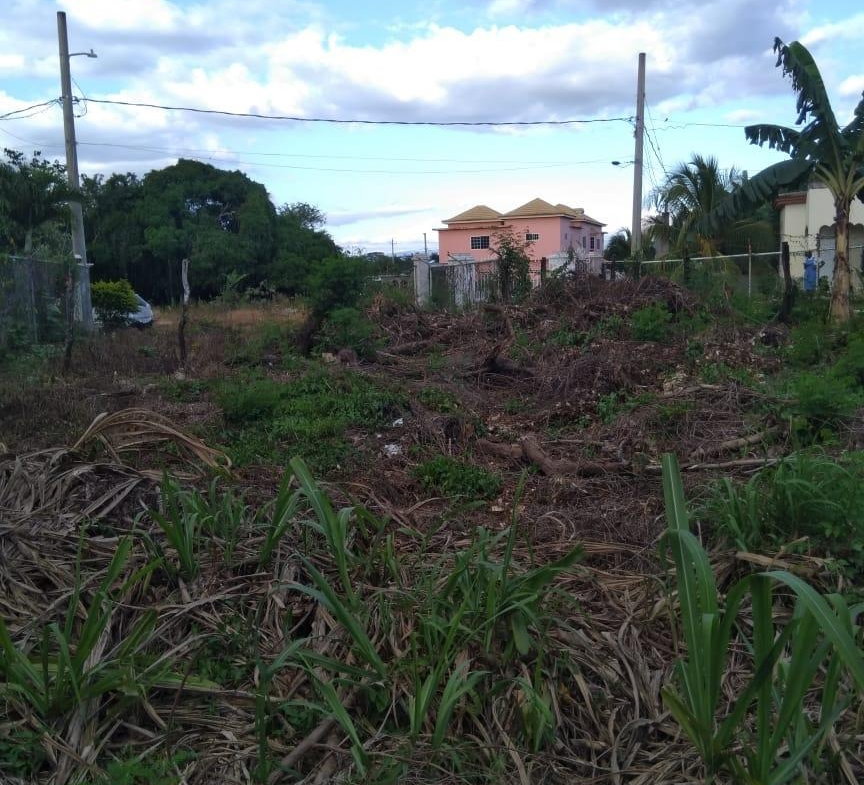 Seventh image of Lot 678 Luana Pen Black r in Black River, St. Elizabeth, Jamaica - property is For Sale