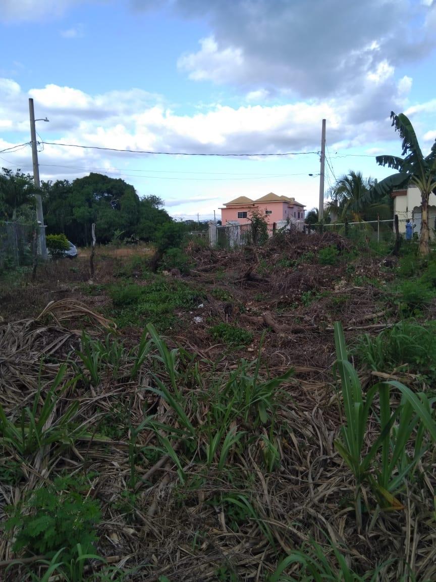 Seventh image of Lot 678 Luana Pen Black r in Black River, St. Elizabeth, Jamaica - property is For Sale