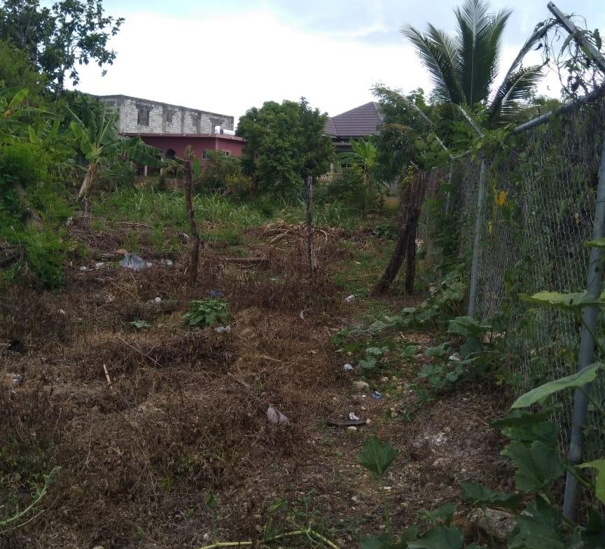 Tenth image of Lot 678 Luana Pen Black r in Black River, St. Elizabeth, Jamaica - property is For Sale