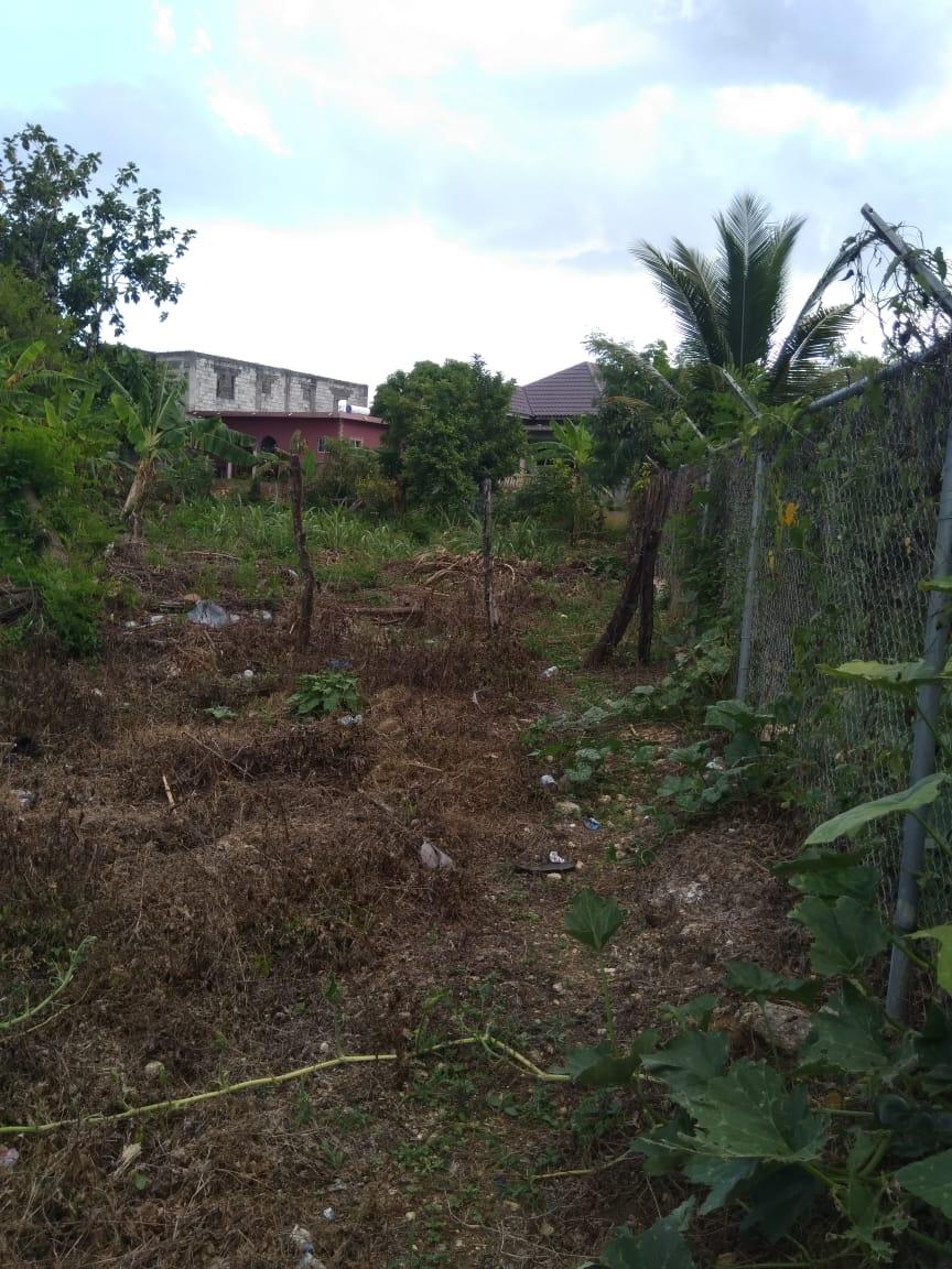 Tenth image of Lot 678 Luana Pen Black r in Black River, St. Elizabeth, Jamaica - property is For Sale