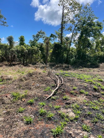 Second image of Lot 6 Marshall Crescent, May da in May Day, Manchester, Jamaica - property is For Sale