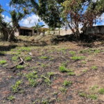 First image of Lot 6 Marshall Crescent, May da in May Day, Manchester, Jamaica - property is For Sale