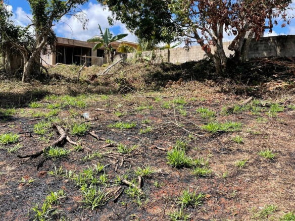 First image of Lot 6 Marshall Crescent, May da in May Day, Manchester, Jamaica - property is For Sale