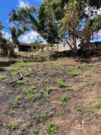 First image of Lot 6 Marshall Crescent, May da in May Day, Manchester, Jamaica - property is For Sale