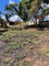 First image of Lot 6 Marshall Crescent, May da in May Day, Manchester, Jamaica - property is For Sale