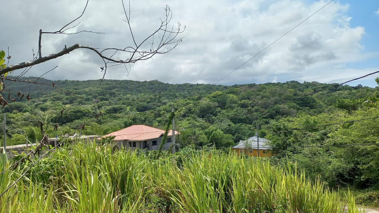Eleventh image of 74 Bodden Drive, Napa Height in St. Ann's Bay, St. Ann, Jamaica - property is For Sale