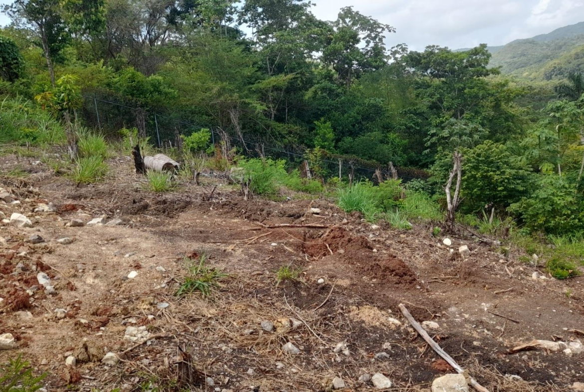 Twelfth image of 74 Bodden Drive, Napa Height in St. Ann's Bay, St. Ann, Jamaica - property is For Sale