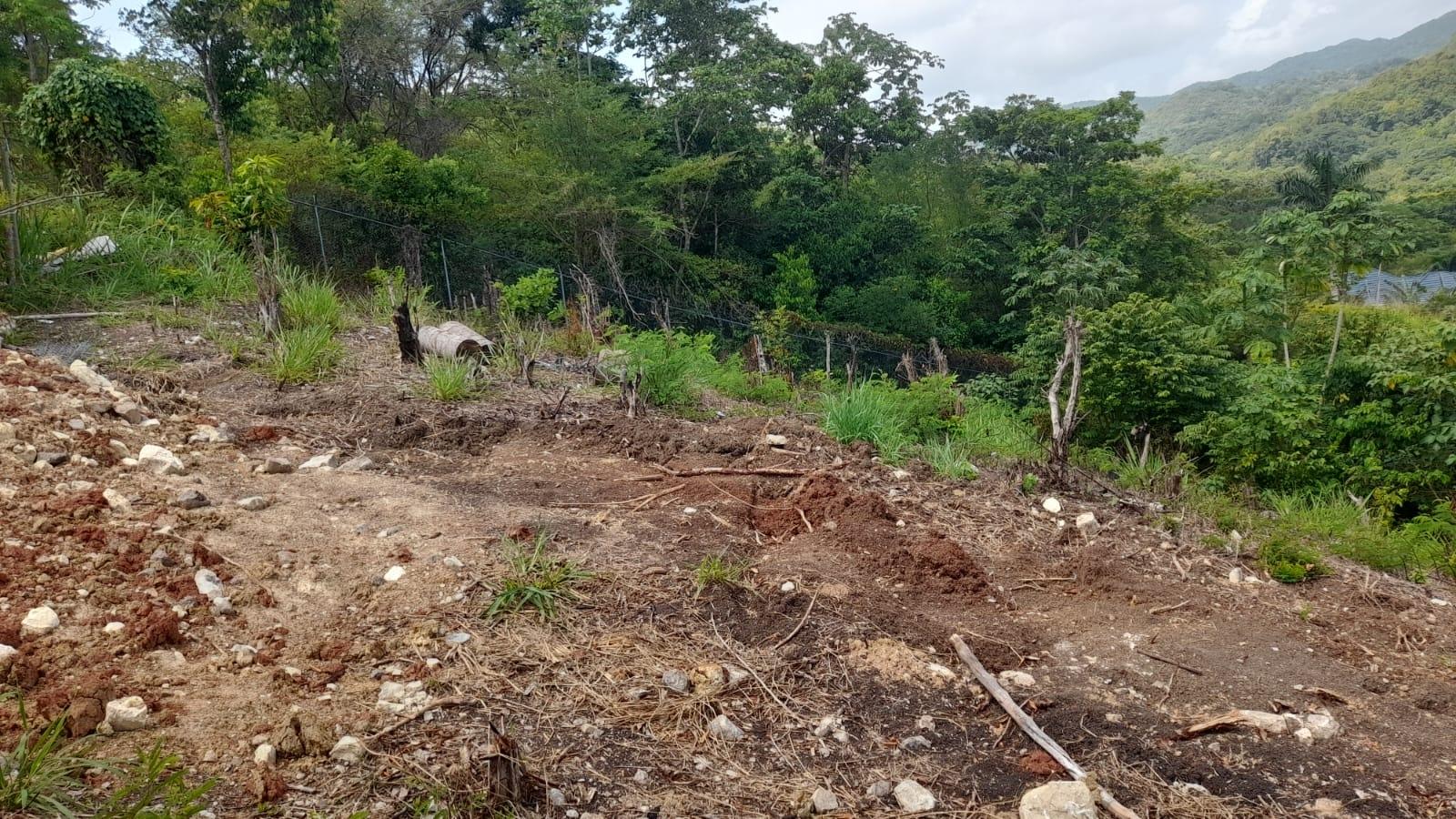 Twelfth image of 74 Bodden Drive, Napa Height in St. Ann's Bay, St. Ann, Jamaica - property is For Sale