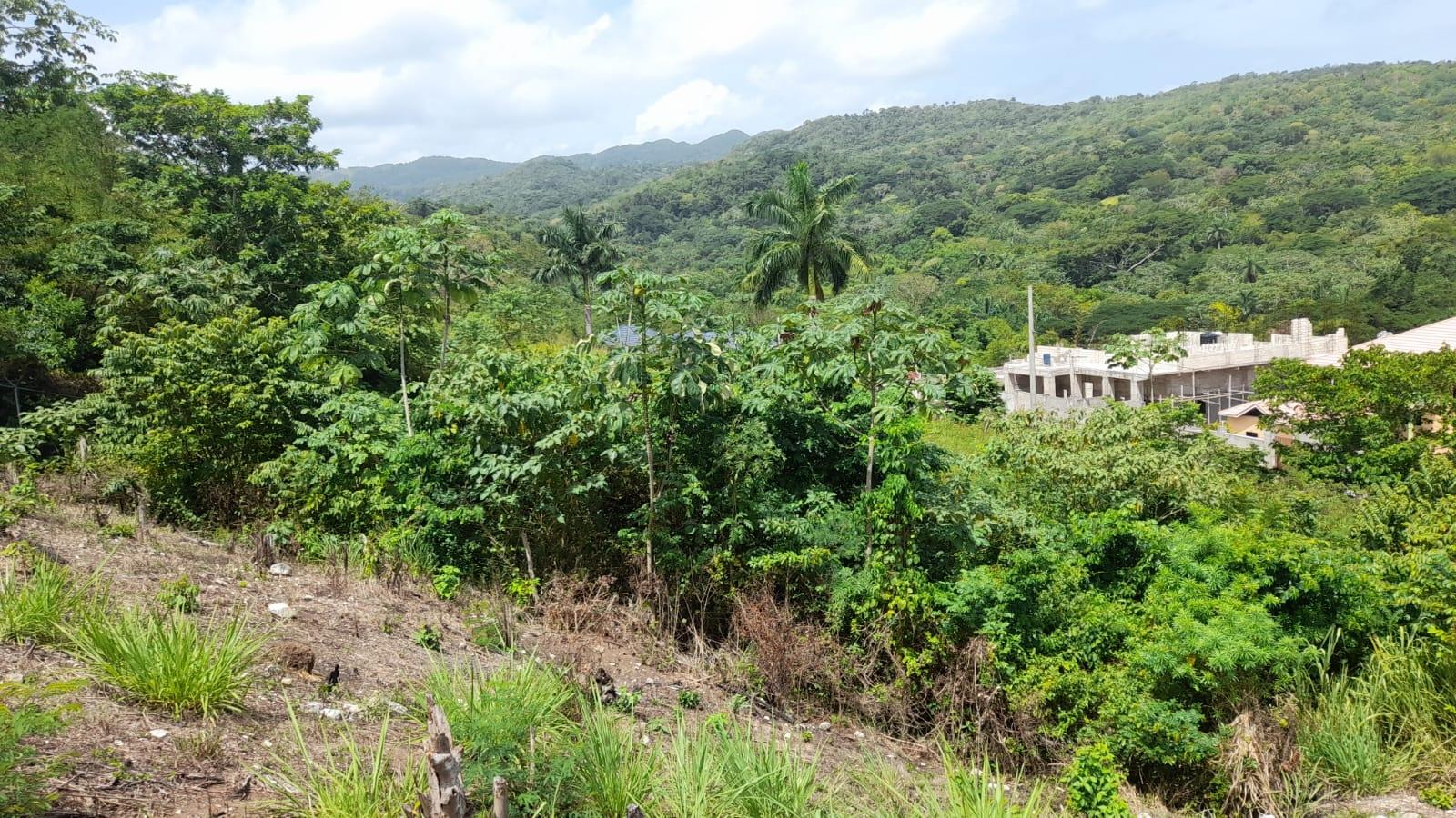 Fourteenth image of 74 Bodden Drive, Napa Height in St. Ann's Bay, St. Ann, Jamaica - property is For Sale