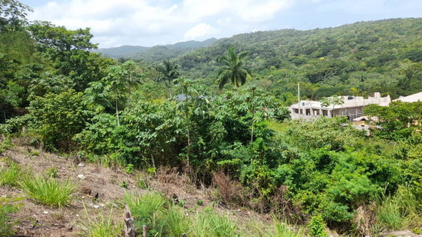 Fourteenth image of 74 Bodden Drive, Napa Height in St. Ann's Bay, St. Ann, Jamaica - property is For Sale