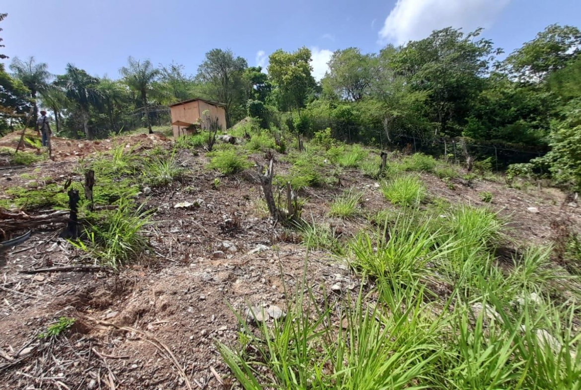 Fifteenth image of 74 Bodden Drive, Napa Height in St. Ann's Bay, St. Ann, Jamaica - property is For Sale