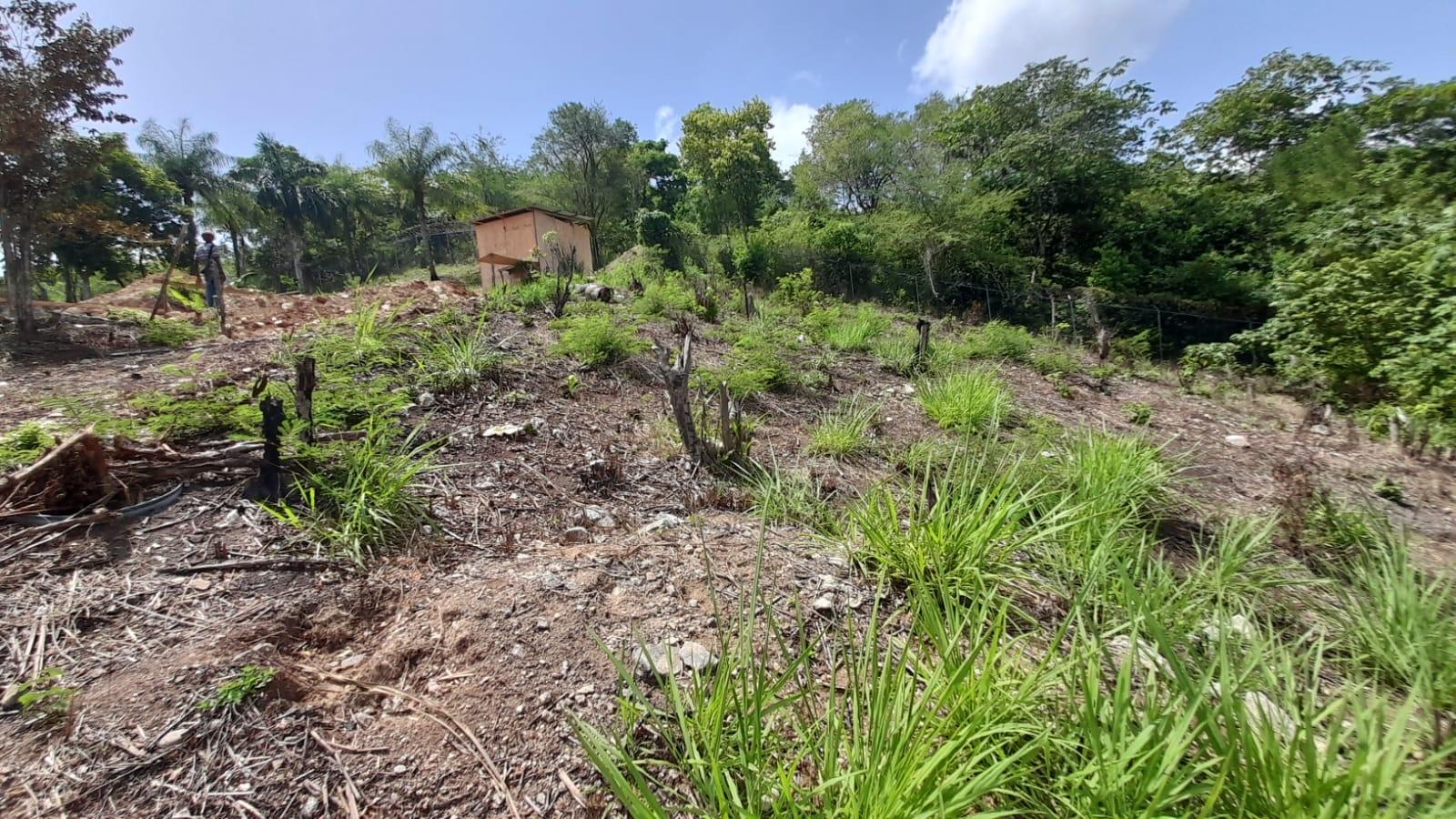 Fifteenth image of 74 Bodden Drive, Napa Height in St. Ann's Bay, St. Ann, Jamaica - property is For Sale