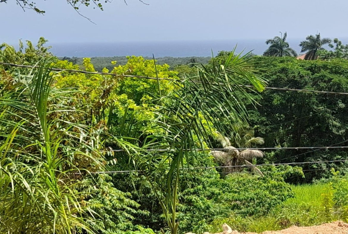 Sixteenth image of 74 Bodden Drive, Napa Height in St. Ann's Bay, St. Ann, Jamaica - property is For Sale