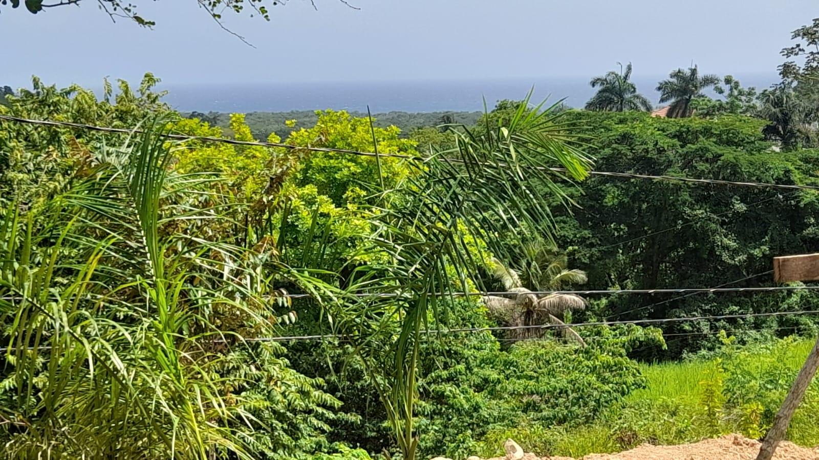 Sixteenth image of 74 Bodden Drive, Napa Height in St. Ann's Bay, St. Ann, Jamaica - property is For Sale