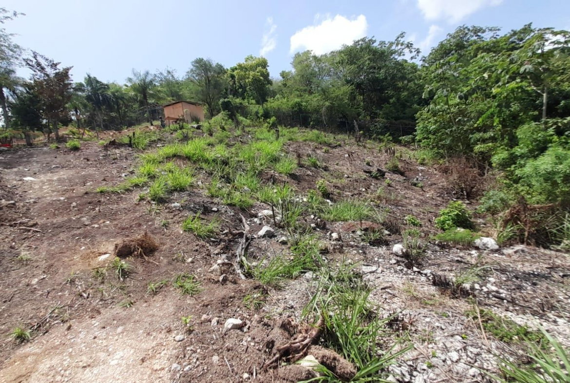 Eighteenth image of 74 Bodden Drive, Napa Height in St. Ann's Bay, St. Ann, Jamaica - property is For Sale