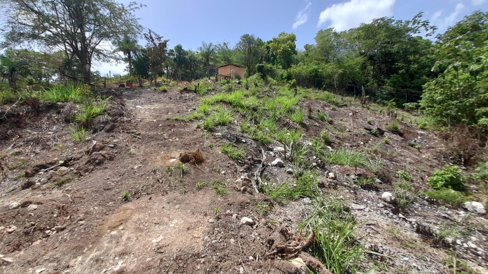 Nineteenth image of 74 Bodden Drive, Napa Height in St. Ann's Bay, St. Ann, Jamaica - property is For Sale