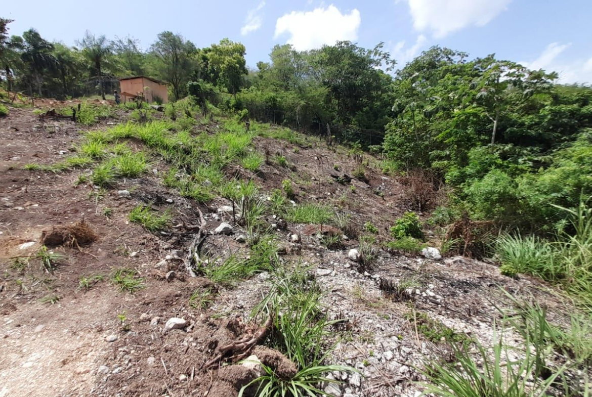 Twentieth image of 74 Bodden Drive, Napa Height in St. Ann's Bay, St. Ann, Jamaica - property is For Sale