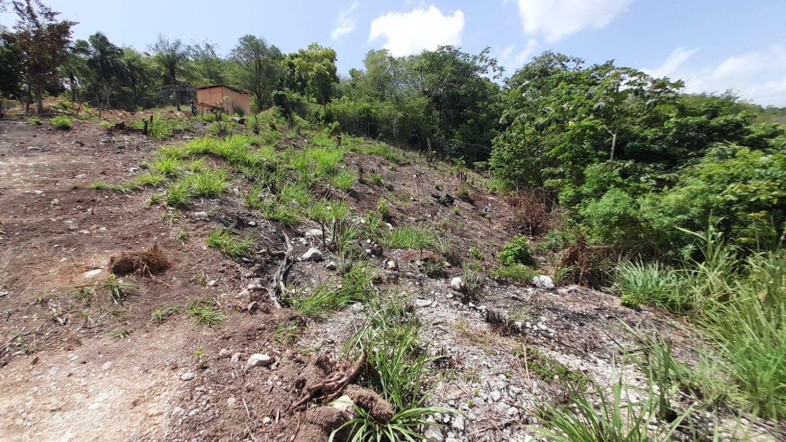 Twentieth image of 74 Bodden Drive, Napa Height in St. Ann's Bay, St. Ann, Jamaica - property is For Sale
