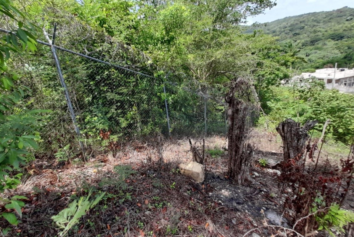 Twenty-First image of 74 Bodden Drive, Napa Height in St. Ann's Bay, St. Ann, Jamaica - property is For Sale