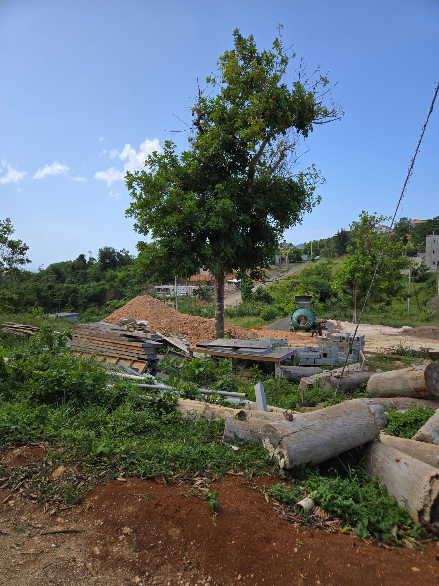 Second image of Lot 8 Part of Warwick Mount in Breadnut Hill, St. Ann, Jamaica - property is For Sale