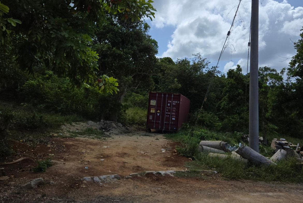 First image of Lot 8 Part of Warwick Mount in Breadnut Hill, St. Ann, Jamaica - property is For Sale