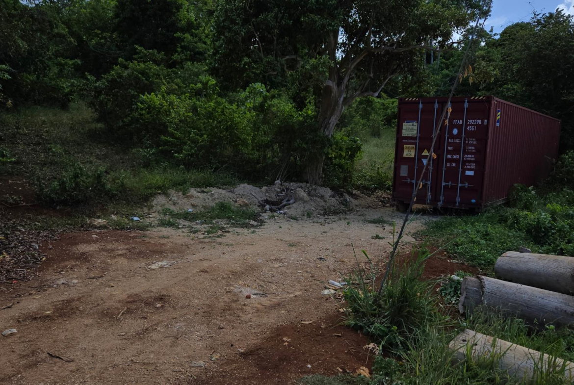 Third image of Lot 8 Part of Warwick Mount in Breadnut Hill, St. Ann, Jamaica - property is For Sale