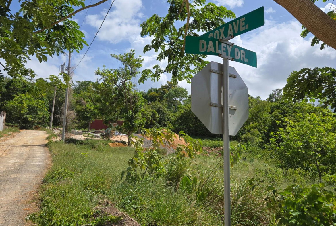 Fourth image of Lot 8 Part of Warwick Mount in Breadnut Hill, St. Ann, Jamaica - property is For Sale