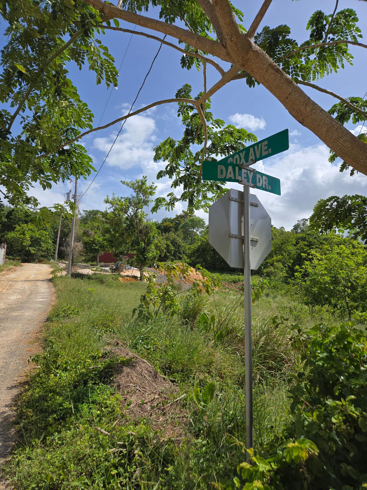 Fourth image of Lot 8 Part of Warwick Mount in Breadnut Hill, St. Ann, Jamaica - property is For Sale