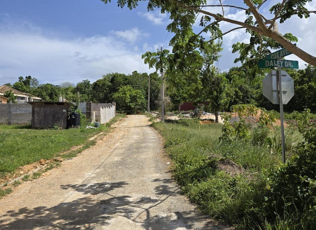 Fifth image of Lot 8 Part of Warwick Mount in Breadnut Hill, St. Ann, Jamaica - property is For Sale